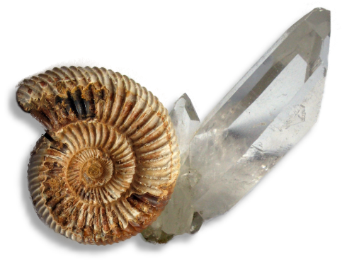 ammonite e quarzo