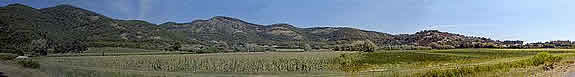 panorama