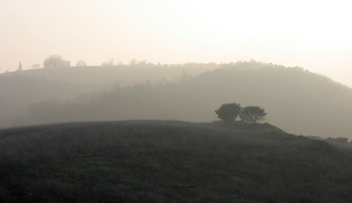 vegro in autunno