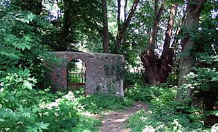 mura