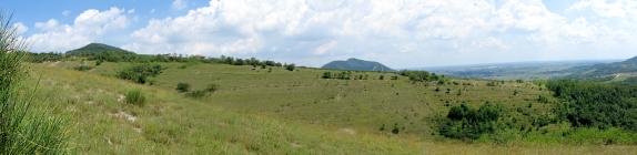 Sassonegro
