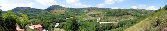 panorama