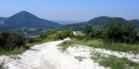 stradella