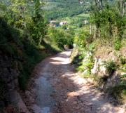 stradella